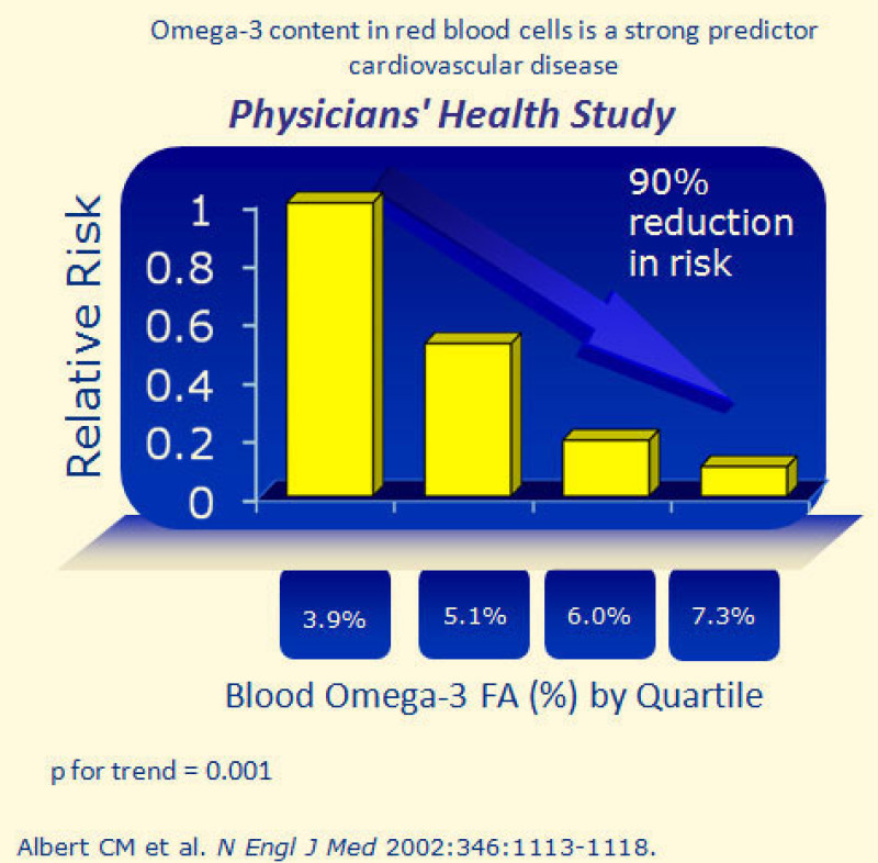 LourensKalverdijk-omega-3-vetzuren-voor-je-gezondheid LourensKalverdijk-omega-3-vetzuren-voor-je-gezondheid